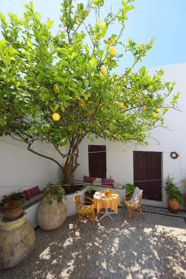 Teresa'S Home Λίνδος Εξωτερικό φωτογραφία